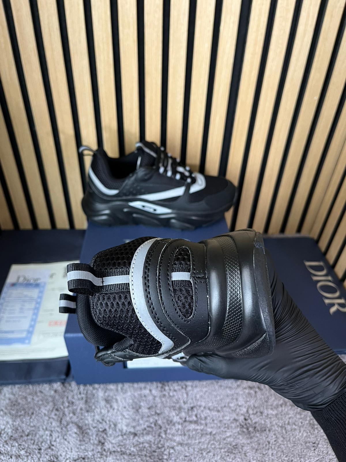 Dior B22