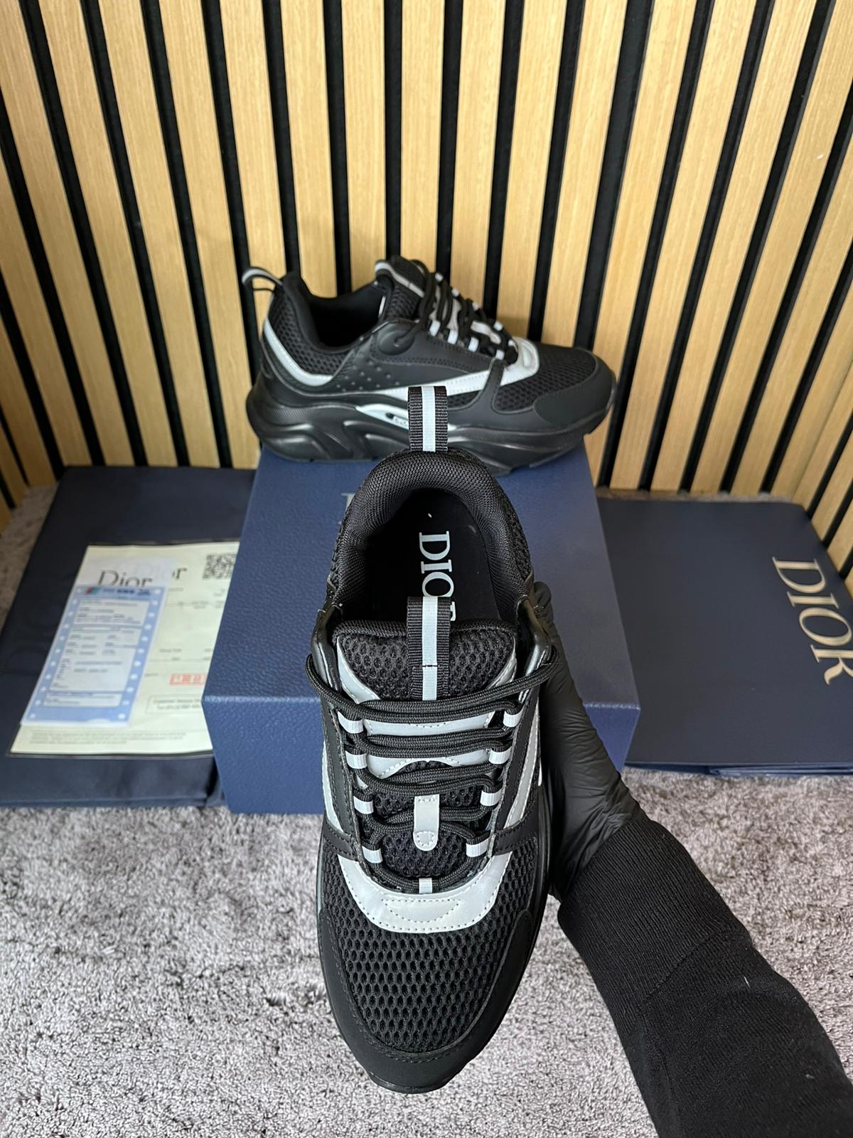 Dior B22