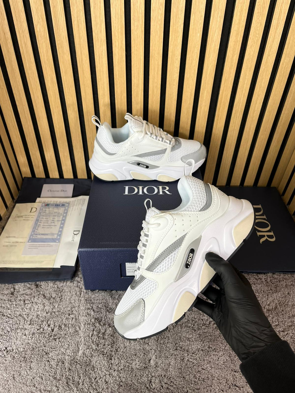 Dior B22