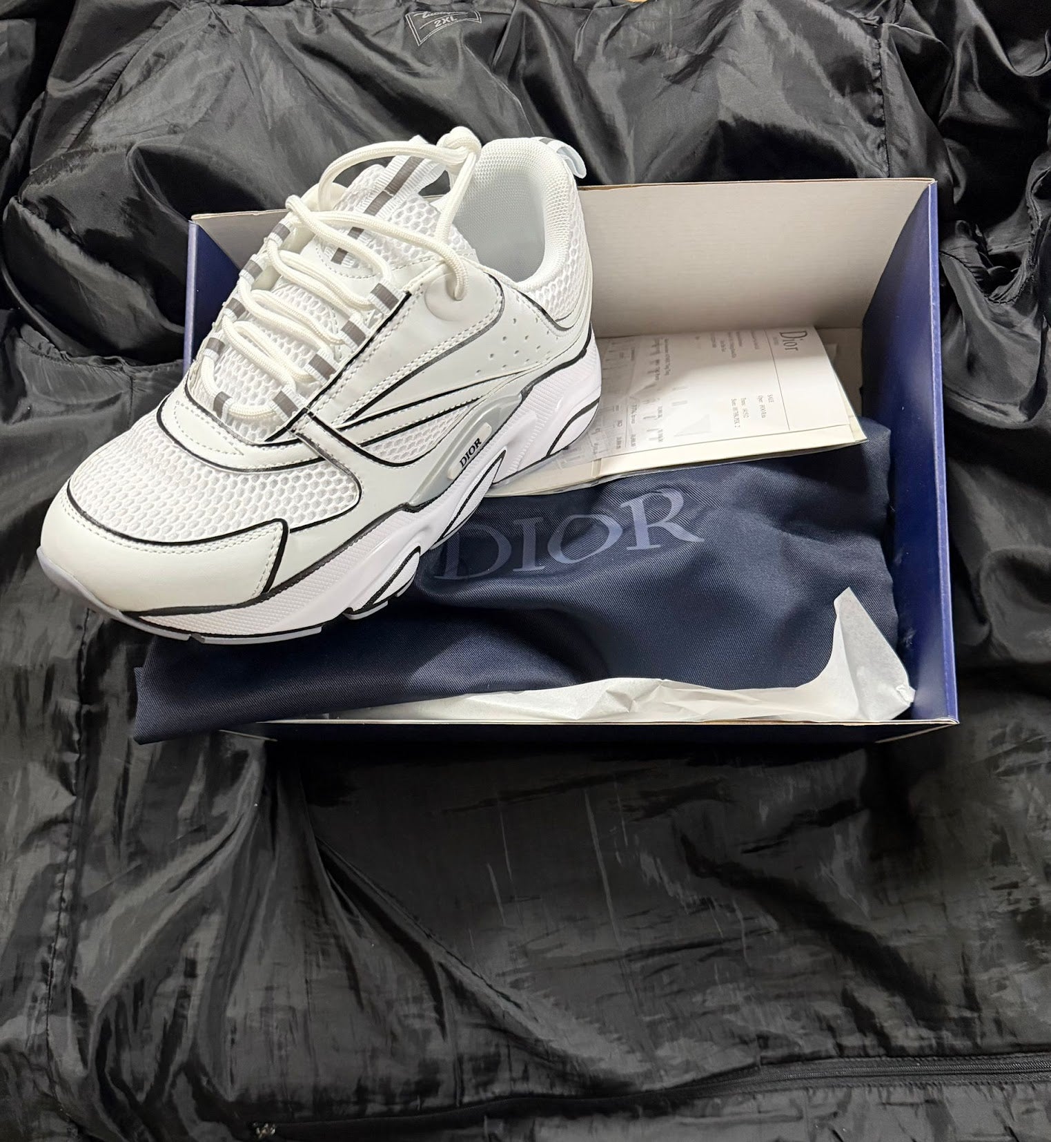 Dior B22