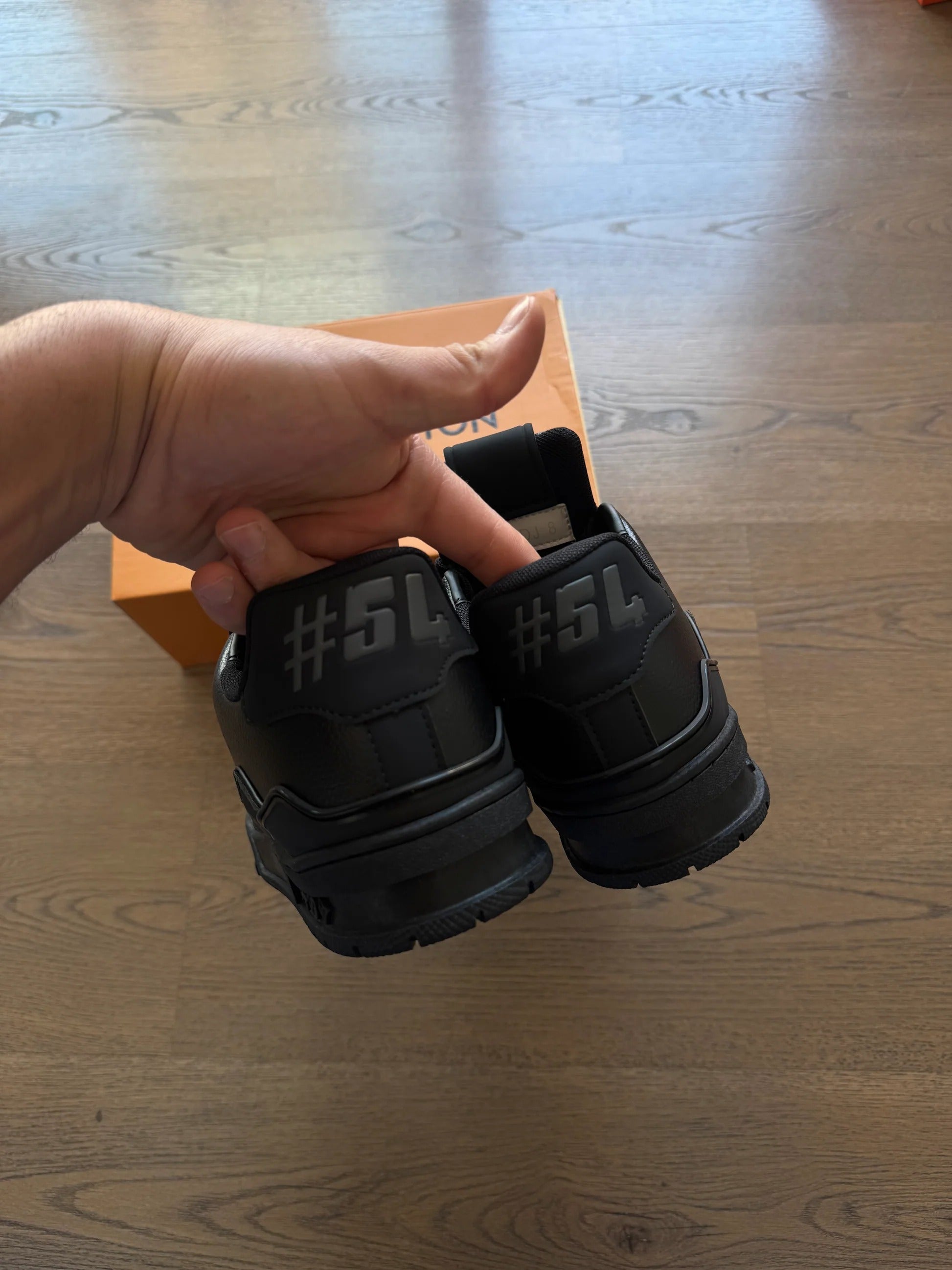 LV TRAINER